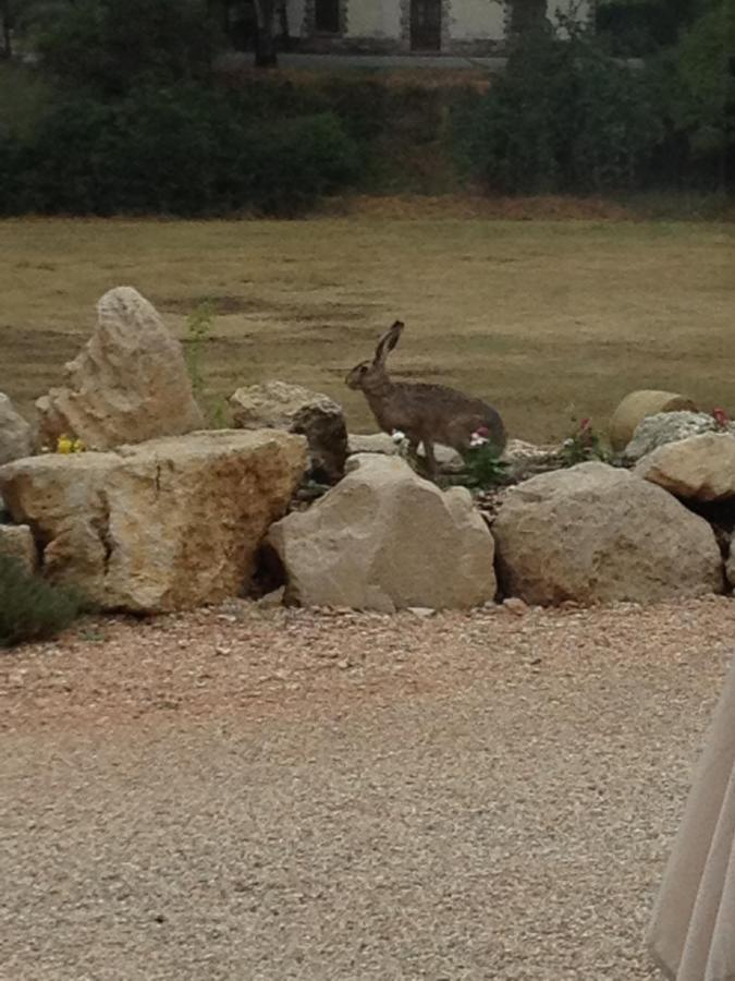Il Casale San Martino Bed & Breakfast Norcia Luaran gambar
